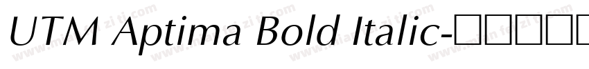 UTM Aptima Bold Italic字体转换